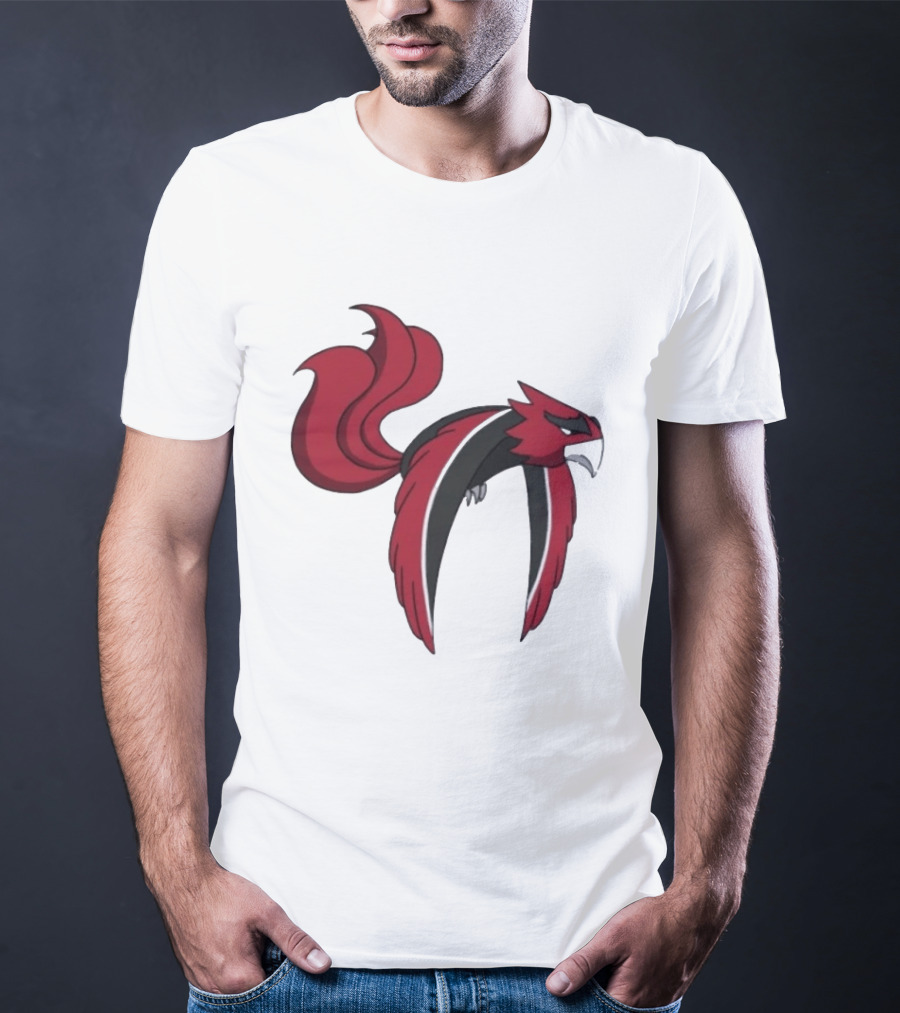 Atlanta Falcons Pokemon Mashup Bird T-Shirt