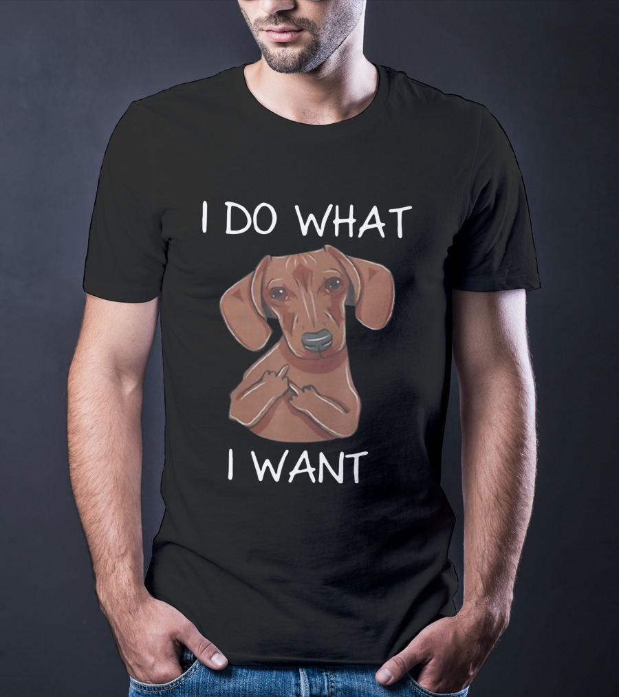 Dachshund I Do What I Want Funny Dachshund I Want T-Shirt