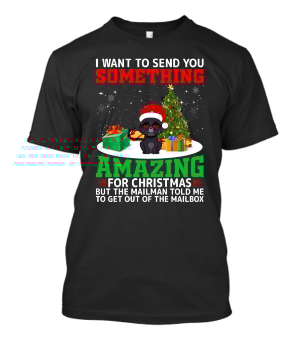 I Want To Send You Something Amazing For Christmas But The Mailman Told Me To Get Out Of The Mailbox T-Shirt