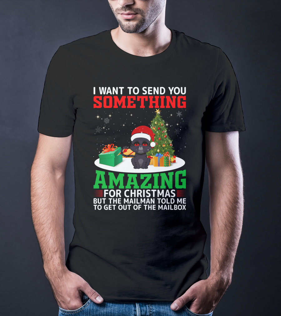 I Want To Send You Something Amazing For Christmas But The Mailman Told Me To Get Out Of The Mailbox T-Shirt