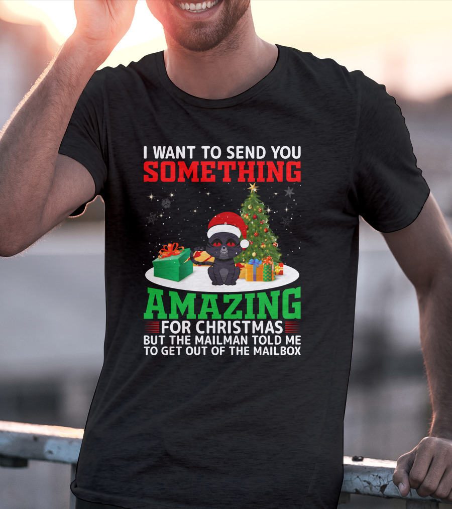 I Want To Send You Something Amazing For Christmas But The Mailman Told Me To Get Out Of The Mailbox T-Shirt