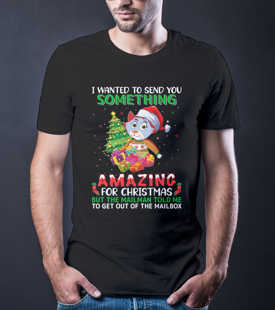 I Wanted To Send You Something Amazing For Christmas But The Mailman Told Me To Get Out Of The Mailbox T-Shirt
