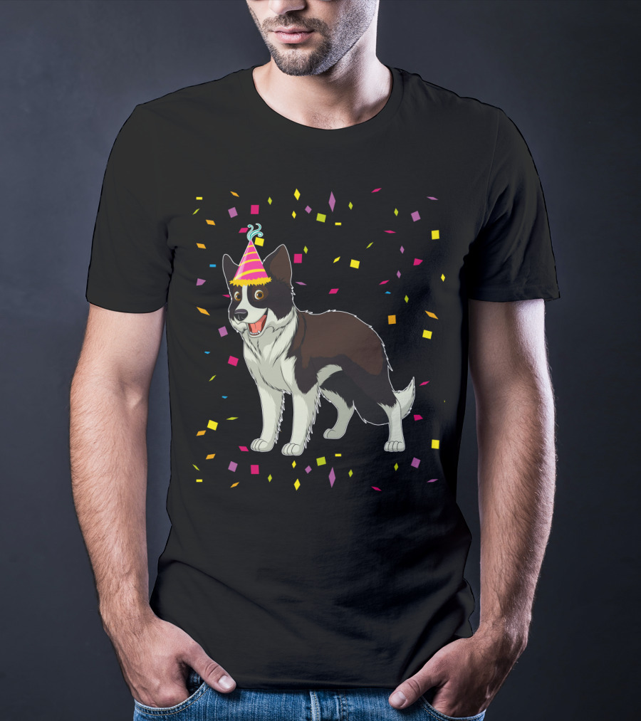 Funny Border Collie Birthday Party Hat Confetti T-Shirt