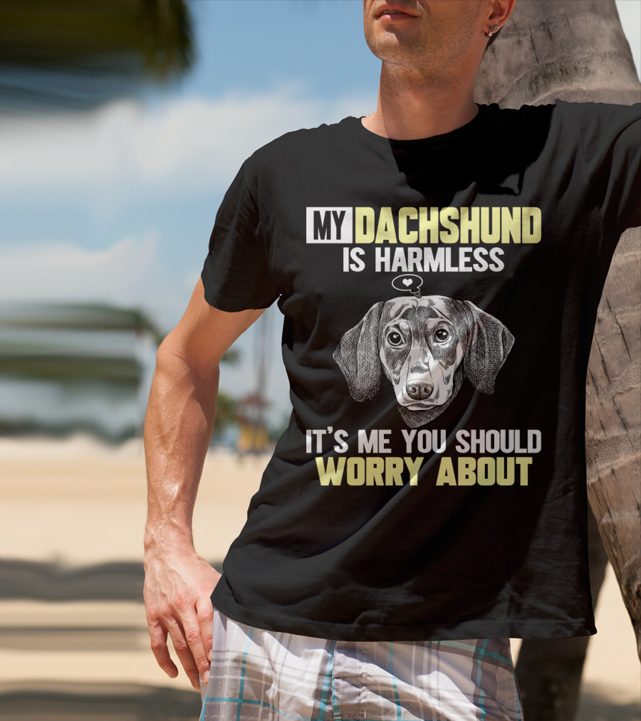 My Dachshund Is Harmless It's ME You Should Worry About T-Shirt