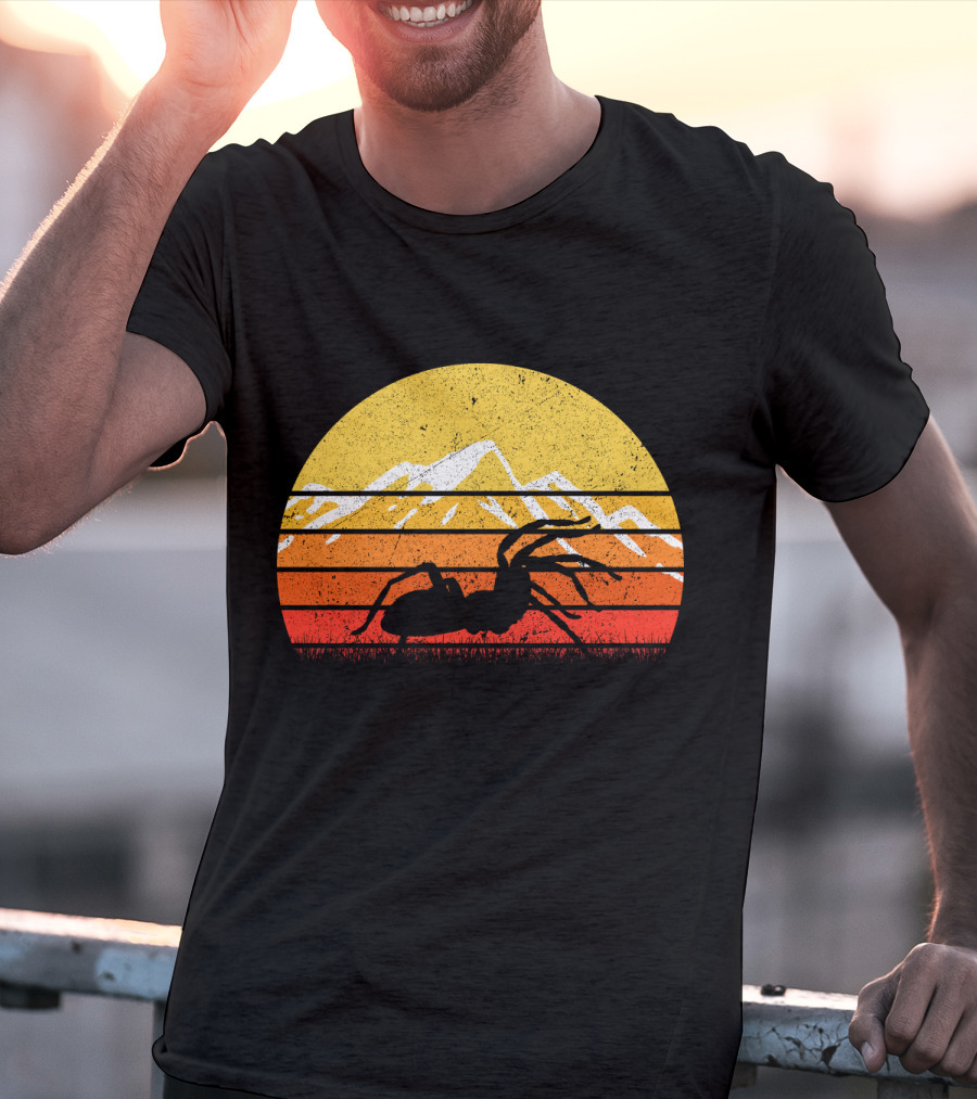 Retro Vintage Tarantula Mountain Sunset T-Shirt