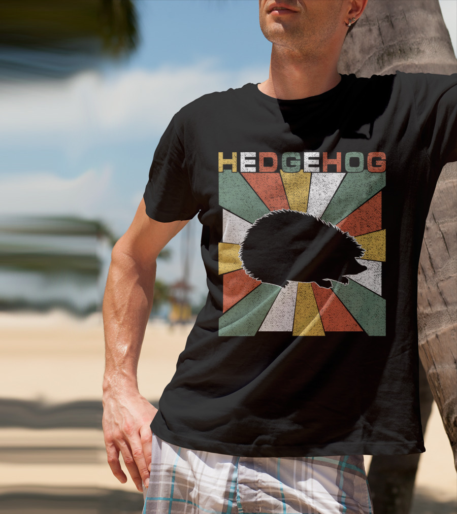 Hedgehog Retro 70s Silhouette Vintage Stripe Burst T-Shirt