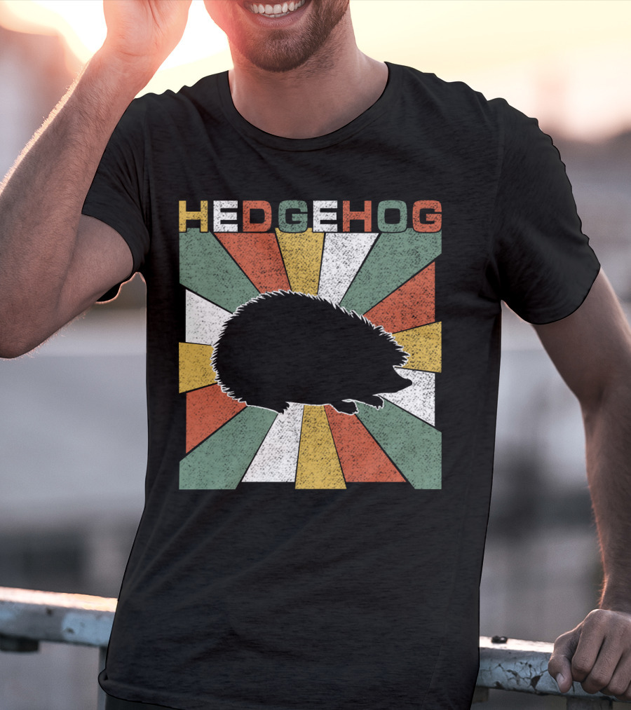 Hedgehog Retro 70s Silhouette Vintage Stripe Burst T-Shirt