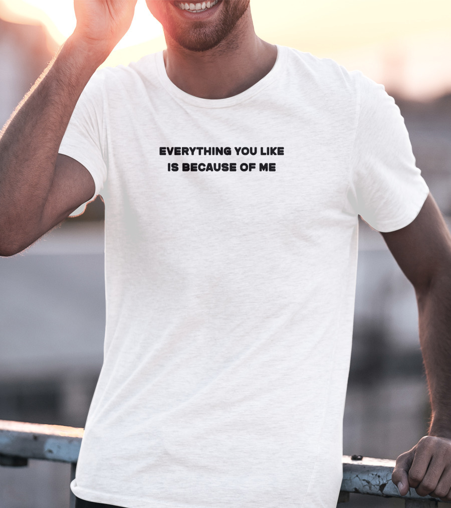 Everything You Like Is Because Of Me T-Shirt