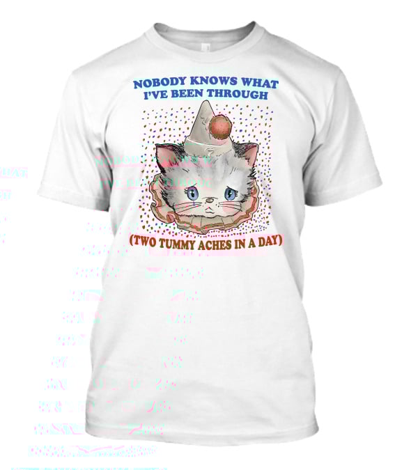 NOBODY KNOWS WHAT I'VE BEEN THROUGH (TWO TUMMY ACHES IN A DAY) CUTE PARTY HAT CAT T-Shirt