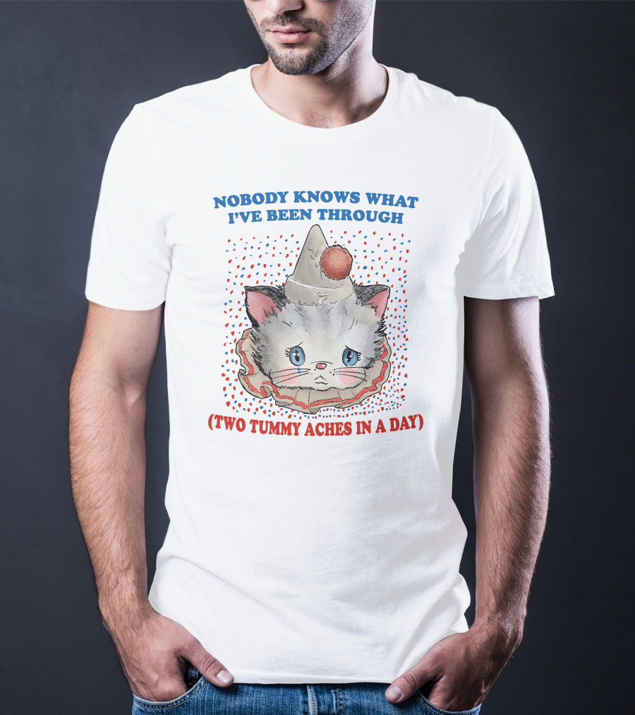NOBODY KNOWS WHAT I'VE BEEN THROUGH (TWO TUMMY ACHES IN A DAY) CUTE PARTY HAT CAT T-Shirt