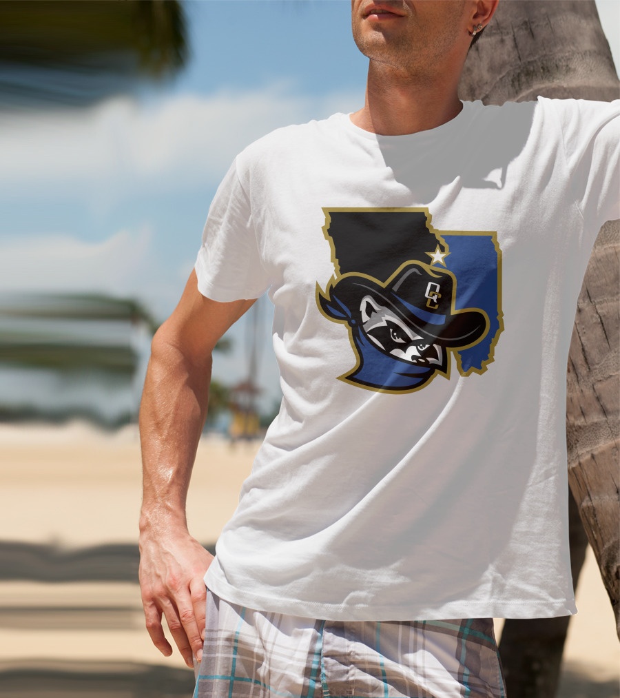 Quad Cities River Bandits Midwest League Baseball Logo 22 T-Shirt