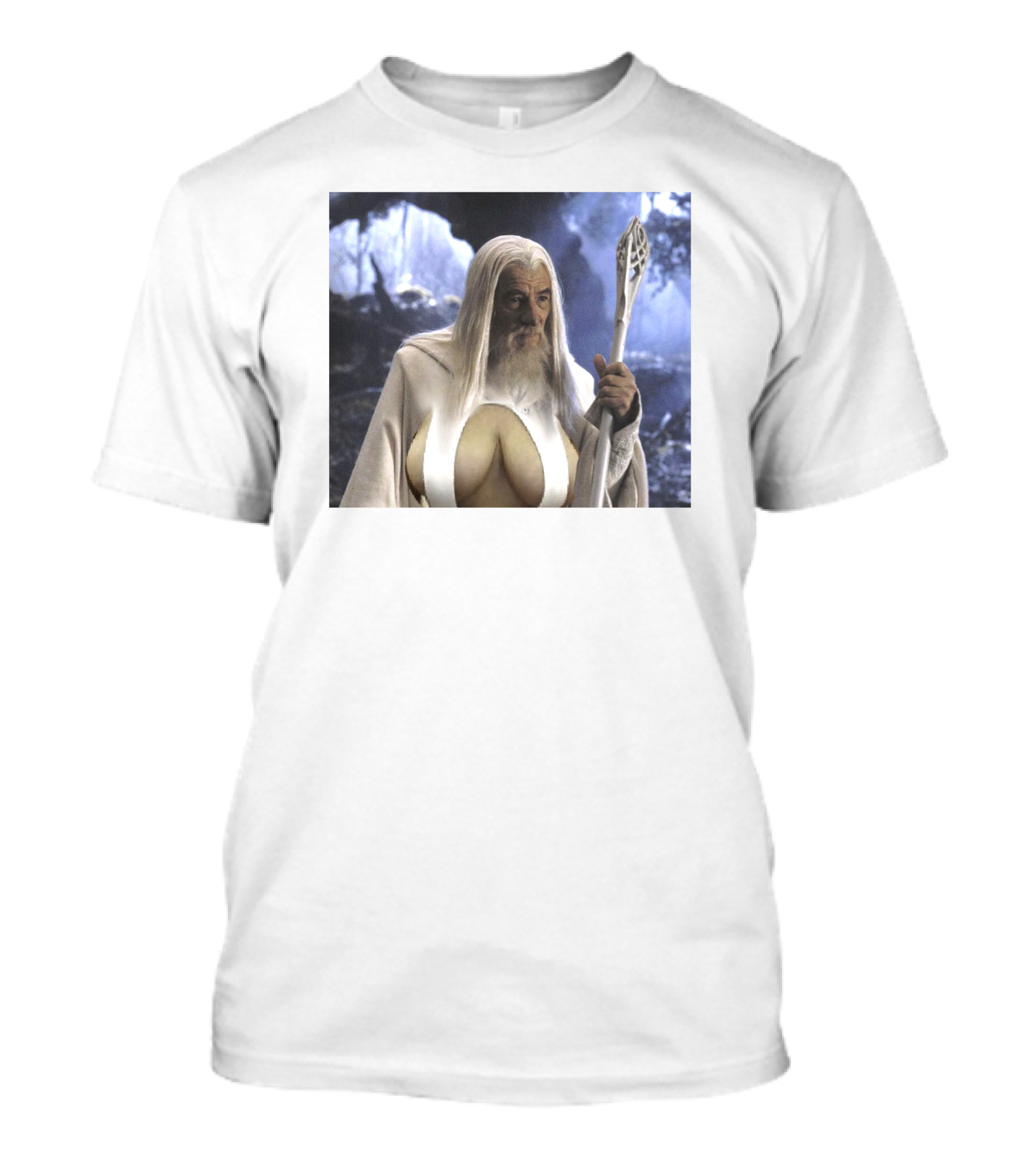 Raw Paw Merch Gandalf's Big Naturals Wizard T-Shirt