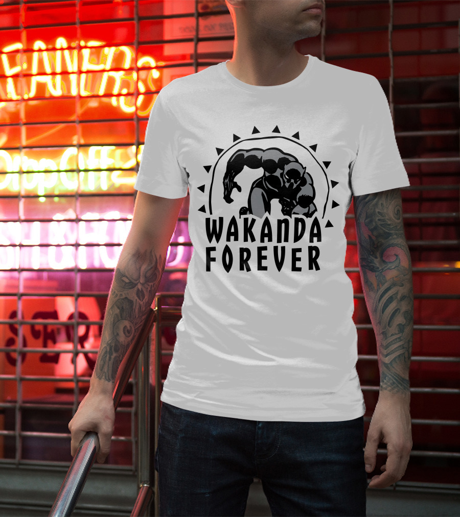 Marvel Black Panther Wakanda Forever Sun Triangles Hero Pose T-Shirt