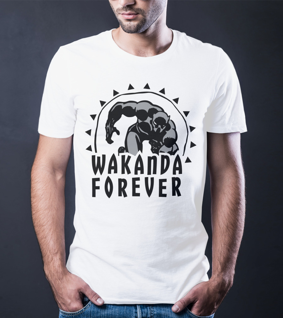 Marvel Black Panther Wakanda Forever Sun Triangles Hero Pose T-Shirt