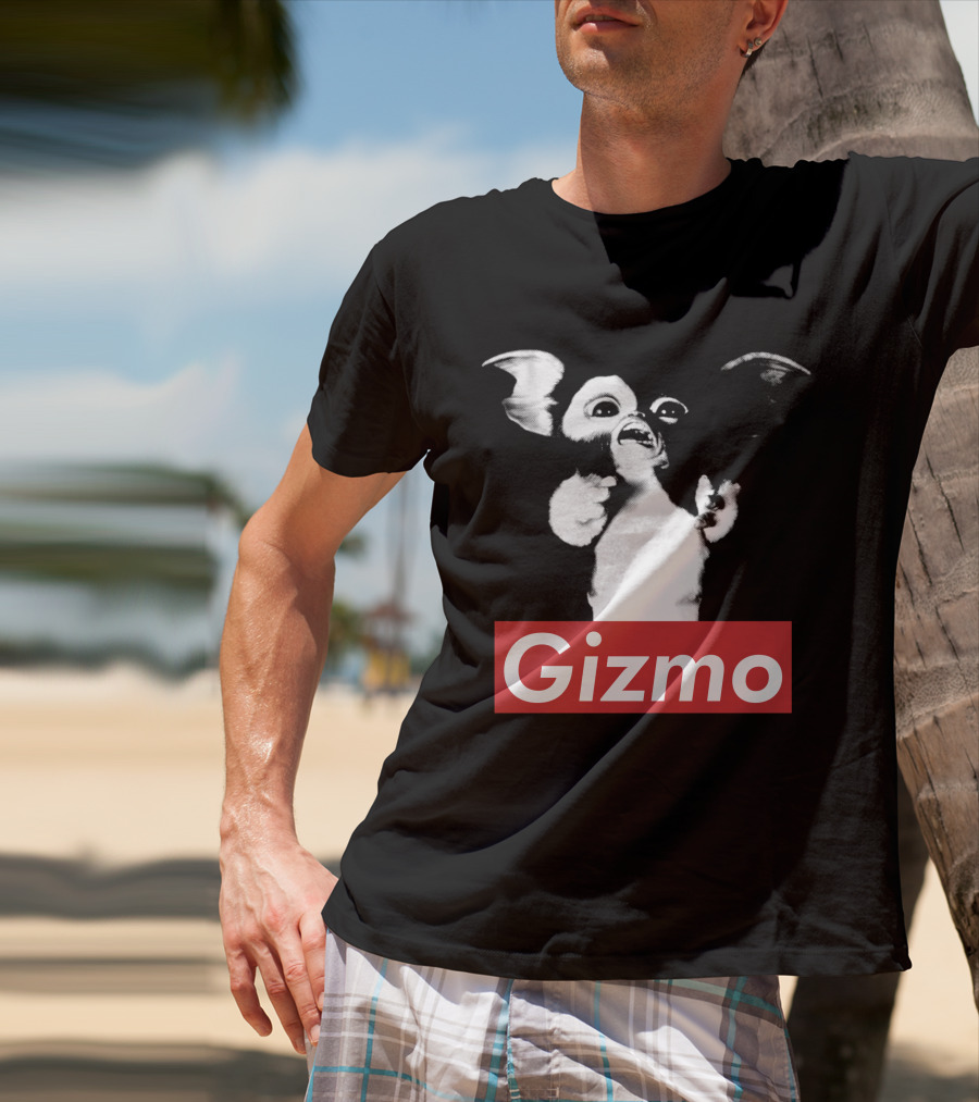 Gizmo Gremlins Vintage Style Black And White Image T-Shirt