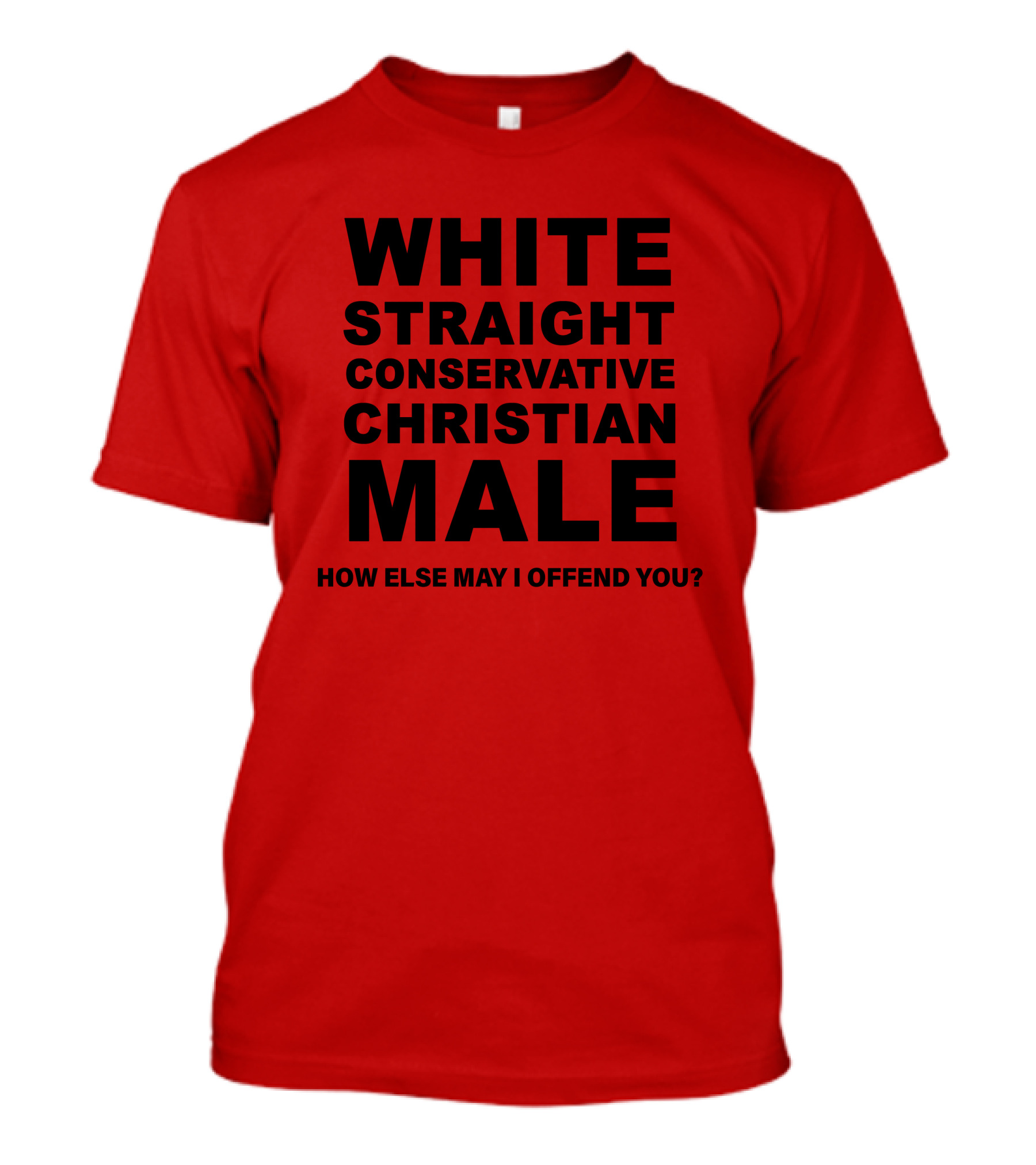 WHITE STRAIGHT CONSERVATIVE CHRISTIAN MALE HOW ELSE MAY I OFFEND YOU T-Shirt