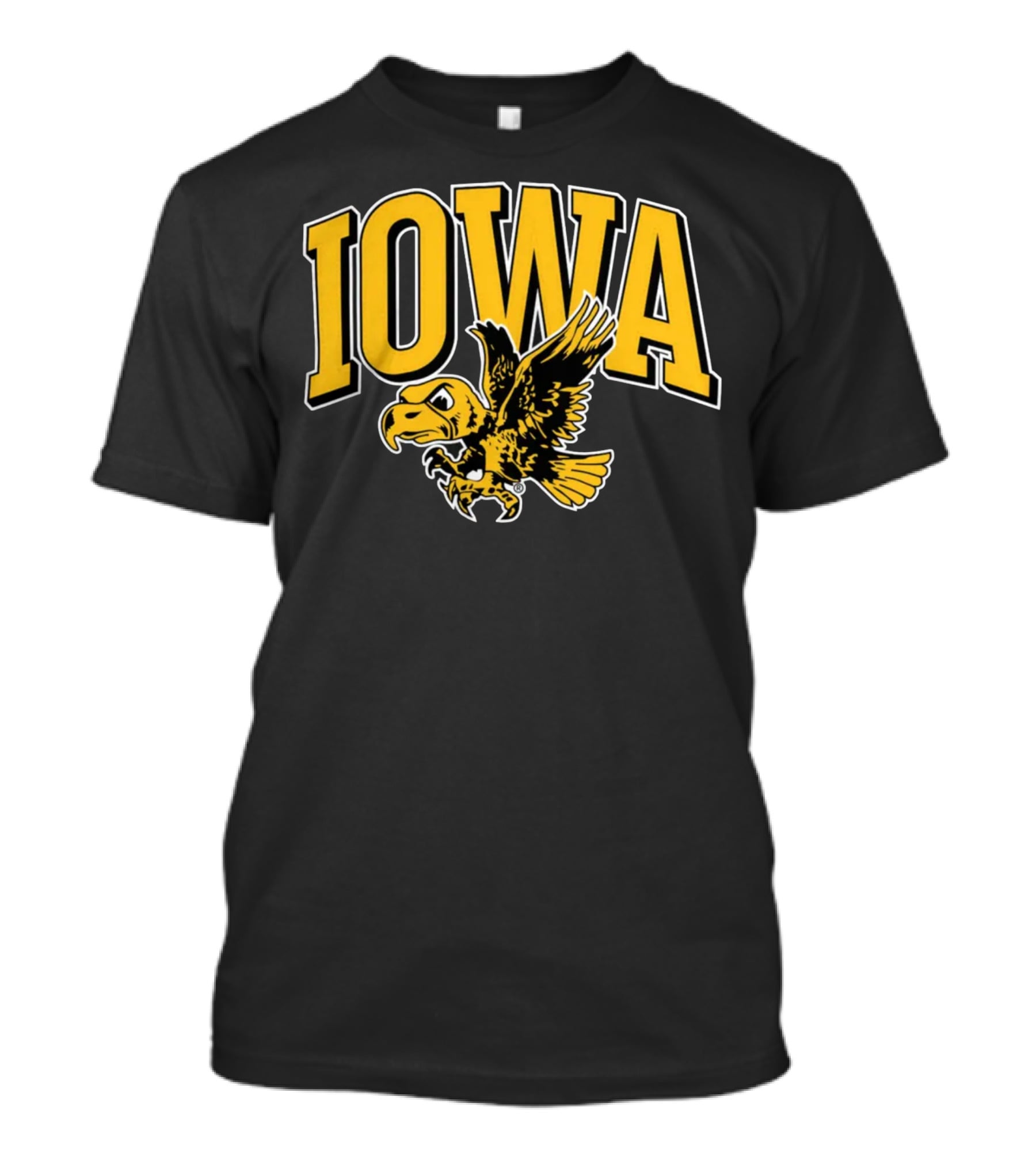 Homefield Apparel Iowa The Hawk Vintage T-Shirt