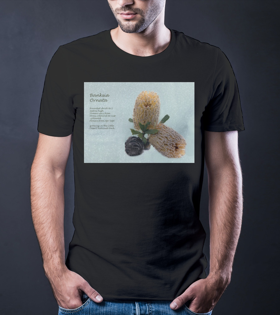 Banksia Ornata Rounded Shrubs Little Desert National Park Flowers T-Shirt