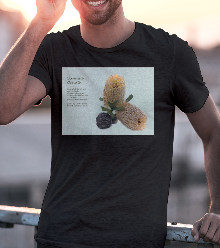 Banksia Ornata Rounded Shrubs Little Desert National Park Flowers T-Shirt