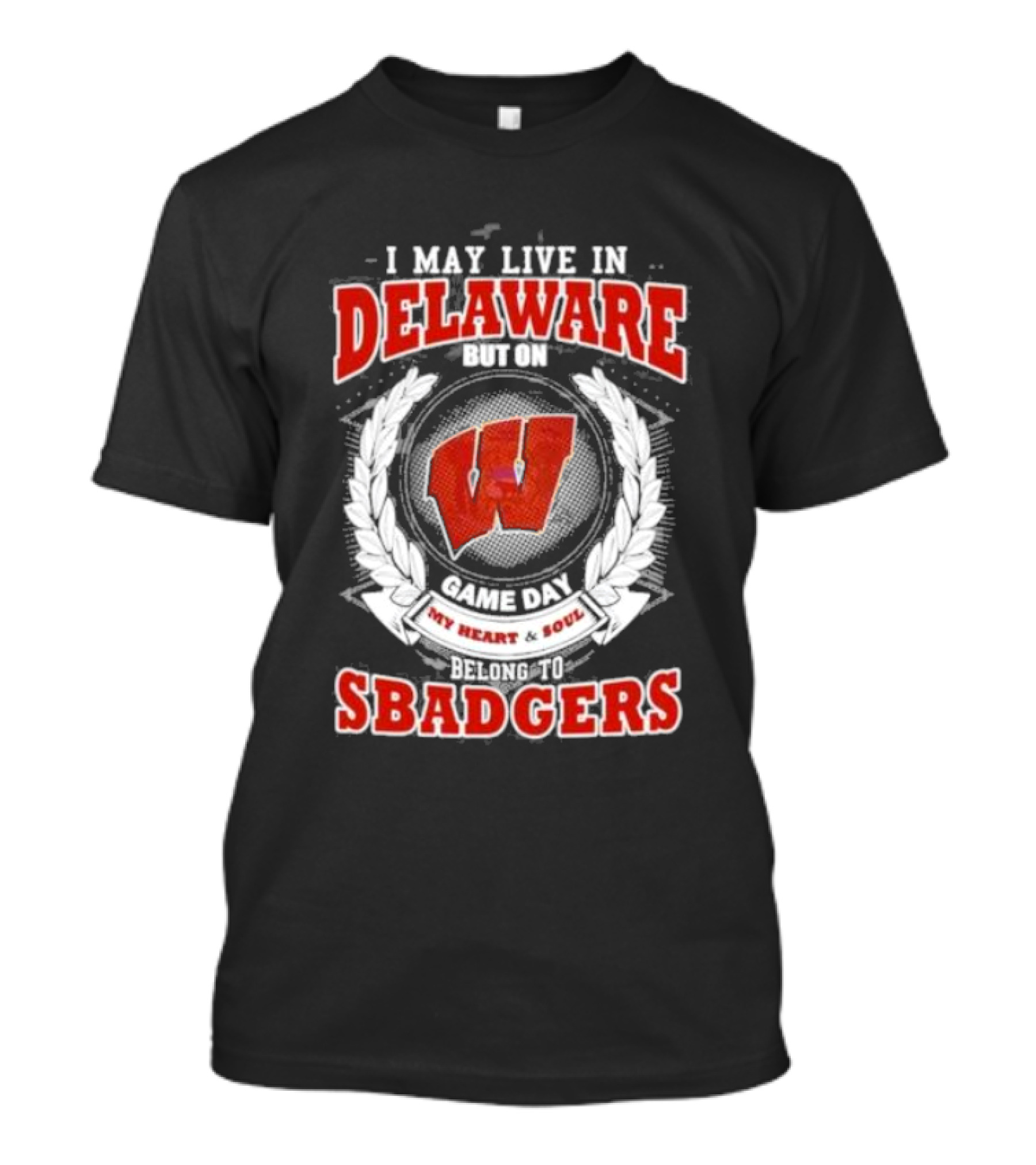I May Live In Delaware But On Game Day My Heart And Soul Belong To Wisconsin Badgers T-Shirt