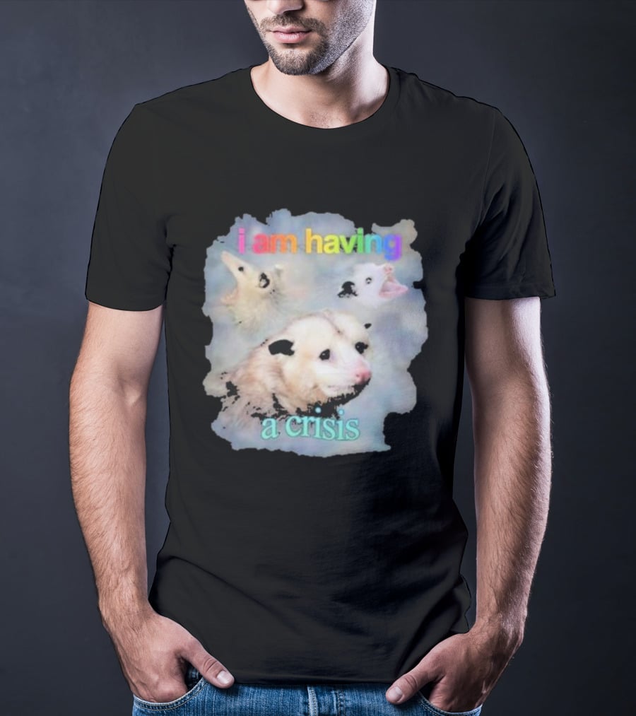 I Am Having A Crisis Possum T-Shirt