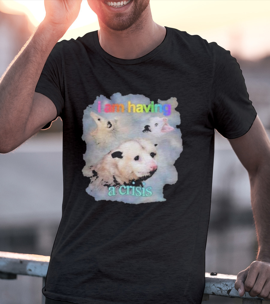 I Am Having A Crisis Possum T-Shirt