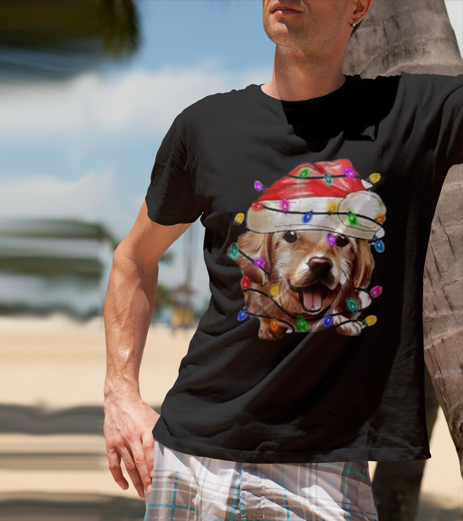 Christmas Lights Dog Lover Santa Hat Raglan T-Shirt