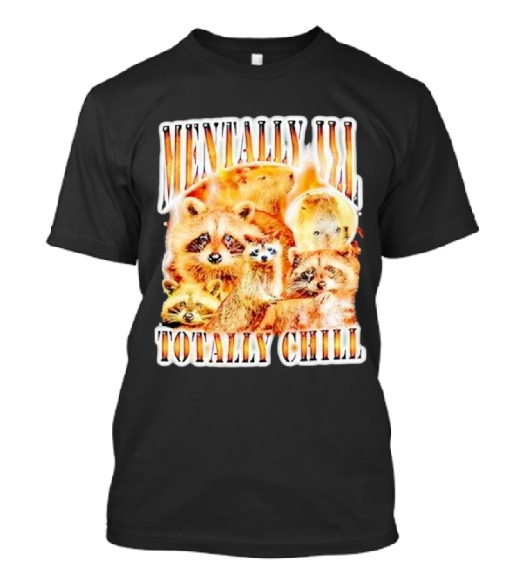 Mentally Ill Totally Chill Raccoon Vintage T-Shirt