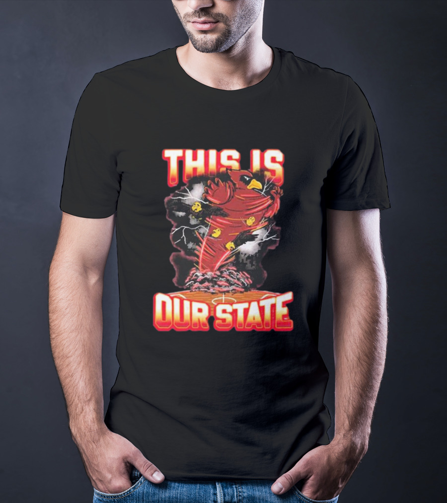 THIS IS OUR STATE Arizona Cardinals Official NFL Team Gear T-Shirt