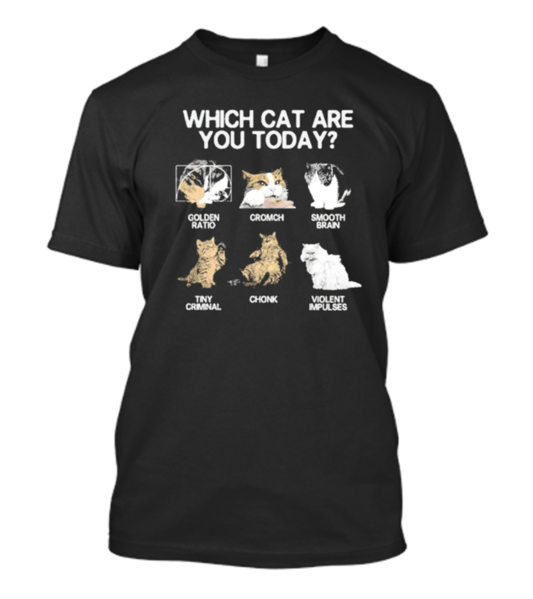 Which Cat Are You Today Golden Ratio Cromch Smooth Brain Tiny Criminal Chonk Violent Impulses T-Shirt