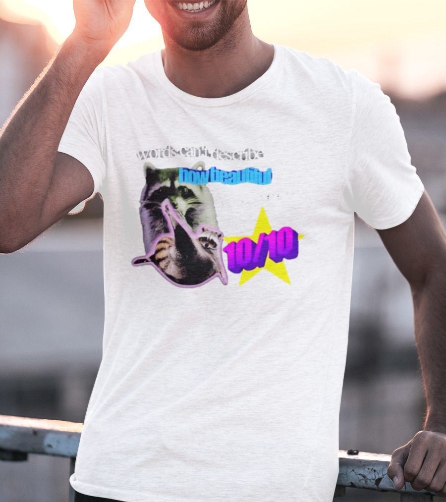 Words Can't Describe How Beautiful I Am But Numbers Can 10/10 Raccoon Star T-Shirt