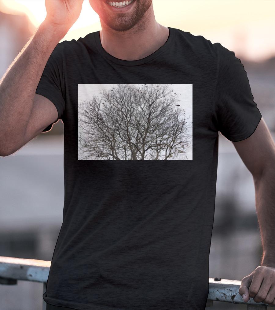 Winters Tracery Bare Tree Branches In Overcast Grey Sky T-Shirt
