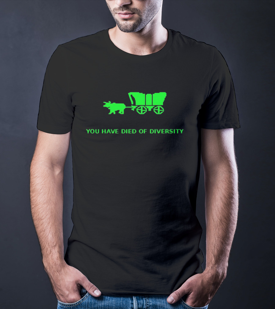 You Have Died Of Diversity Oregon Trail Pixel T-Shirt