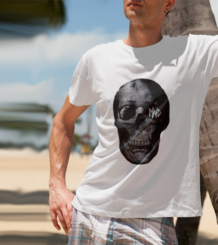 PWD Parkway Drive Dark Days 2012 Atlas Skull Image T-Shirt