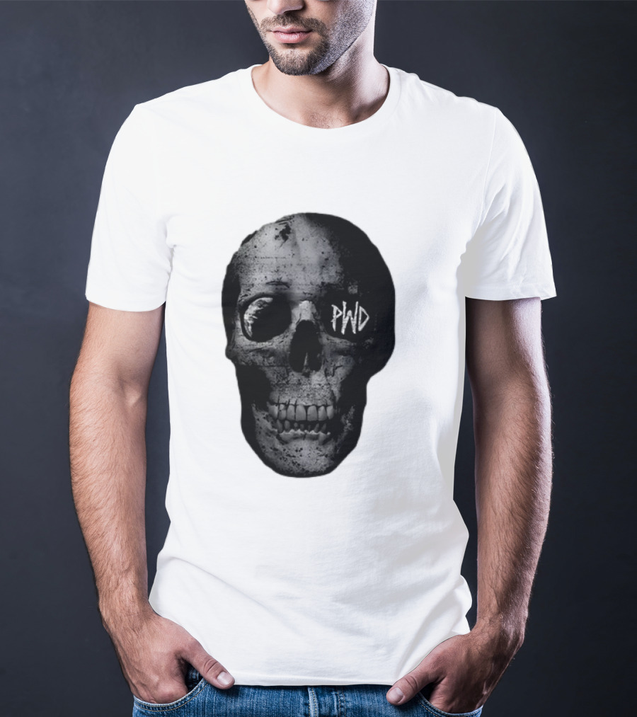 PWD Parkway Drive Dark Days 2012 Atlas Skull Image T-Shirt