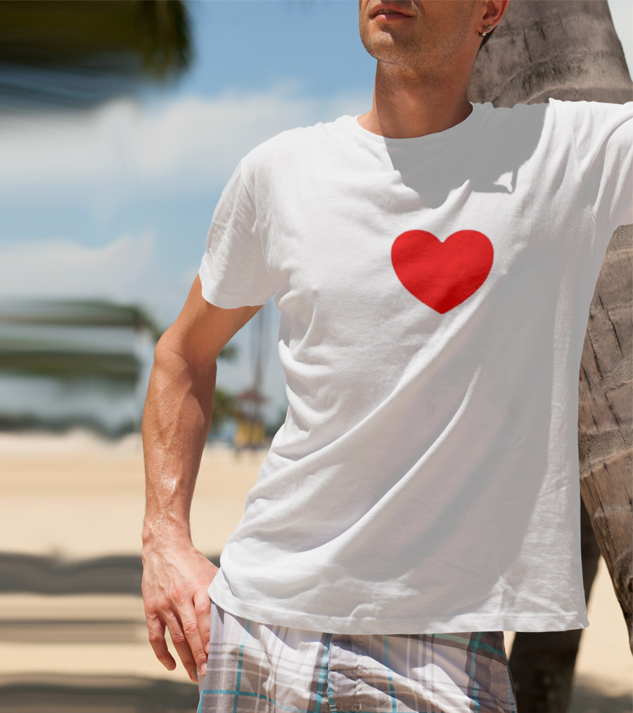 I Heart Tax Evasion T-Shirt