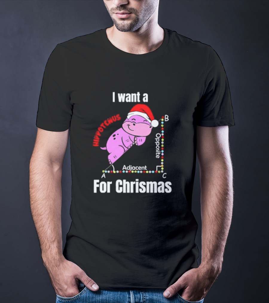 I Want A Hippotenuse ABC Adjacent Opposite For Christmas Cute Hippo T-Shirt