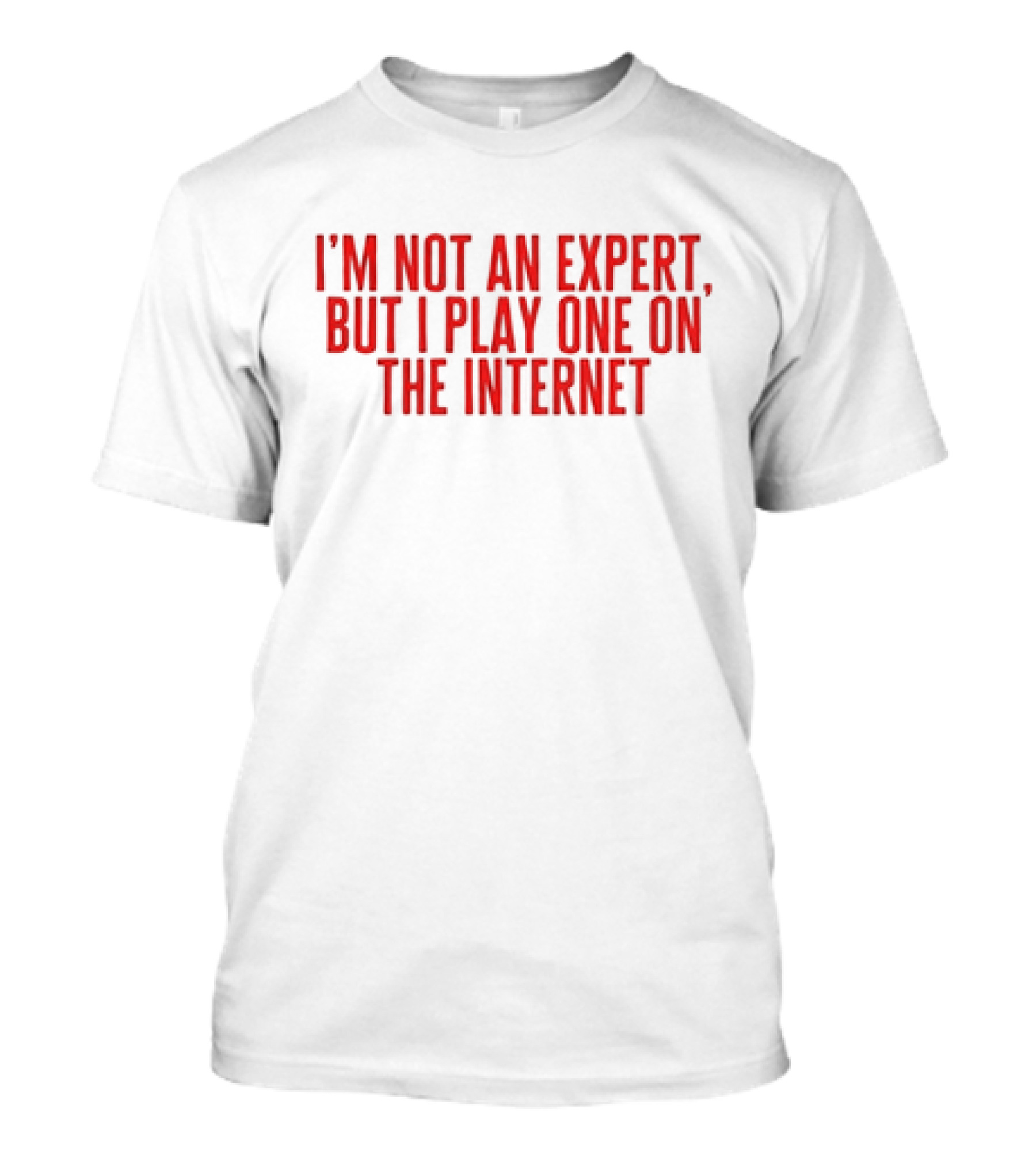I'm Not An Expert But I Play One On The Internet T-Shirt