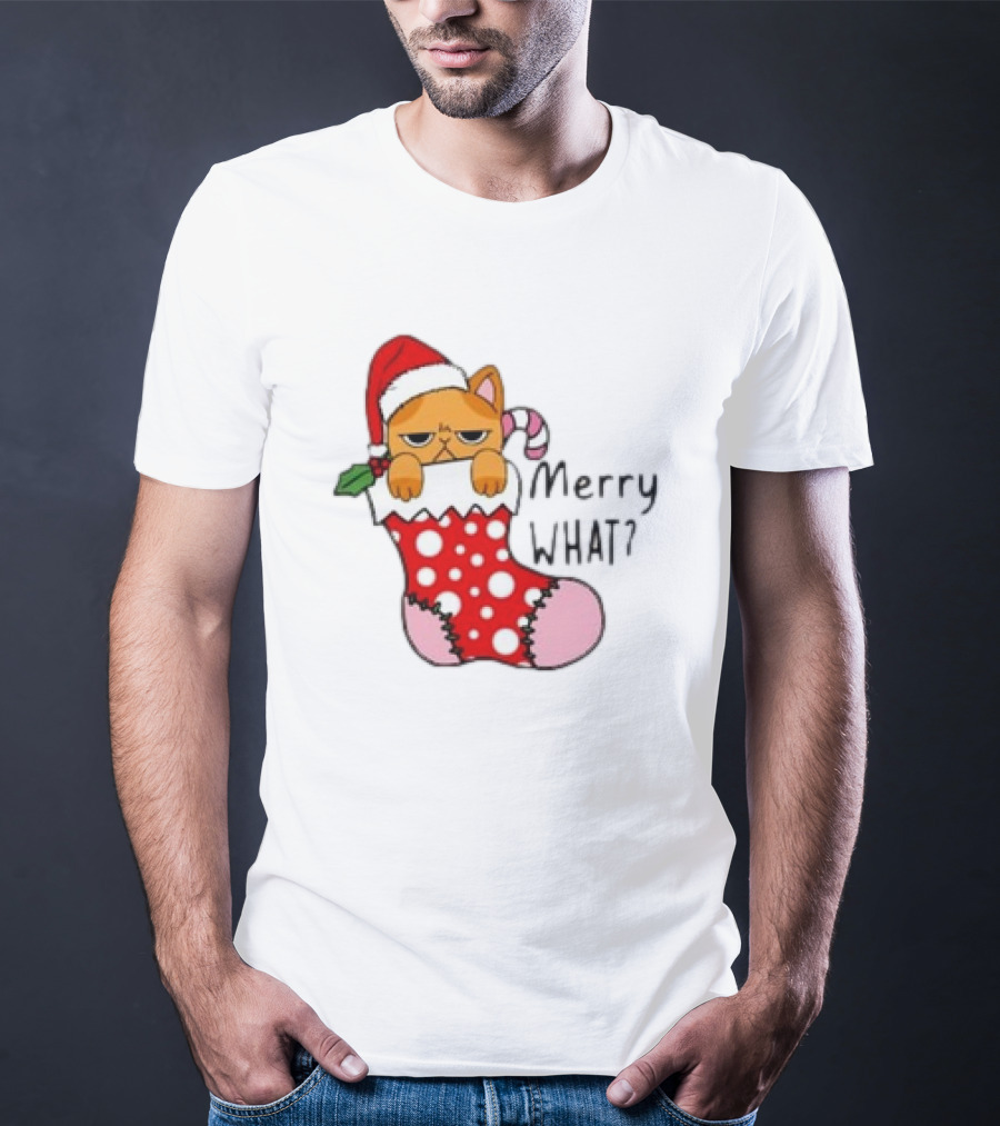 Merry What Cat In Santa Hat Christmas Stocking T-Shirt