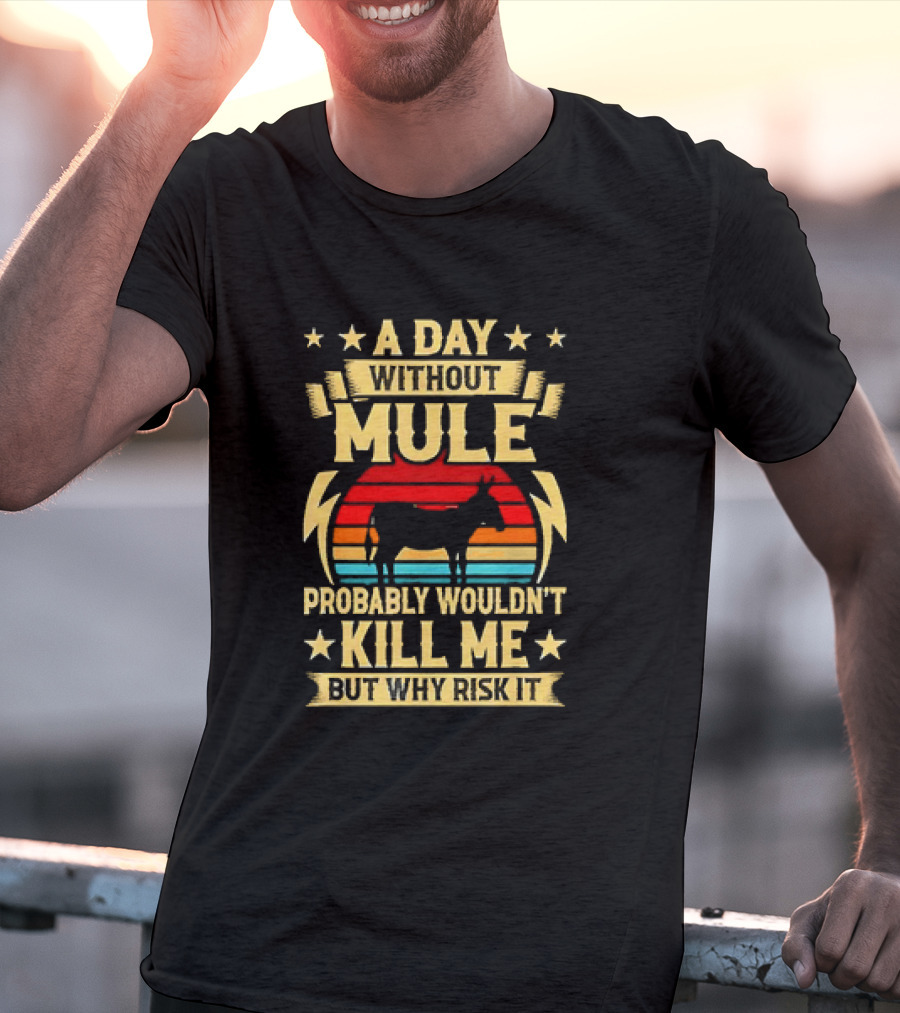 A Day Without Mule Probably Wouldn't Kill Me But Why Risk It Vintage Sunset T-Shirt