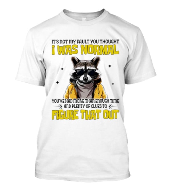 Raccoon It's Not My Fault You Thought I Was Normal You've Had More Than Enough Time And Plenty Of Clues To Figure That Out T-Shirt
