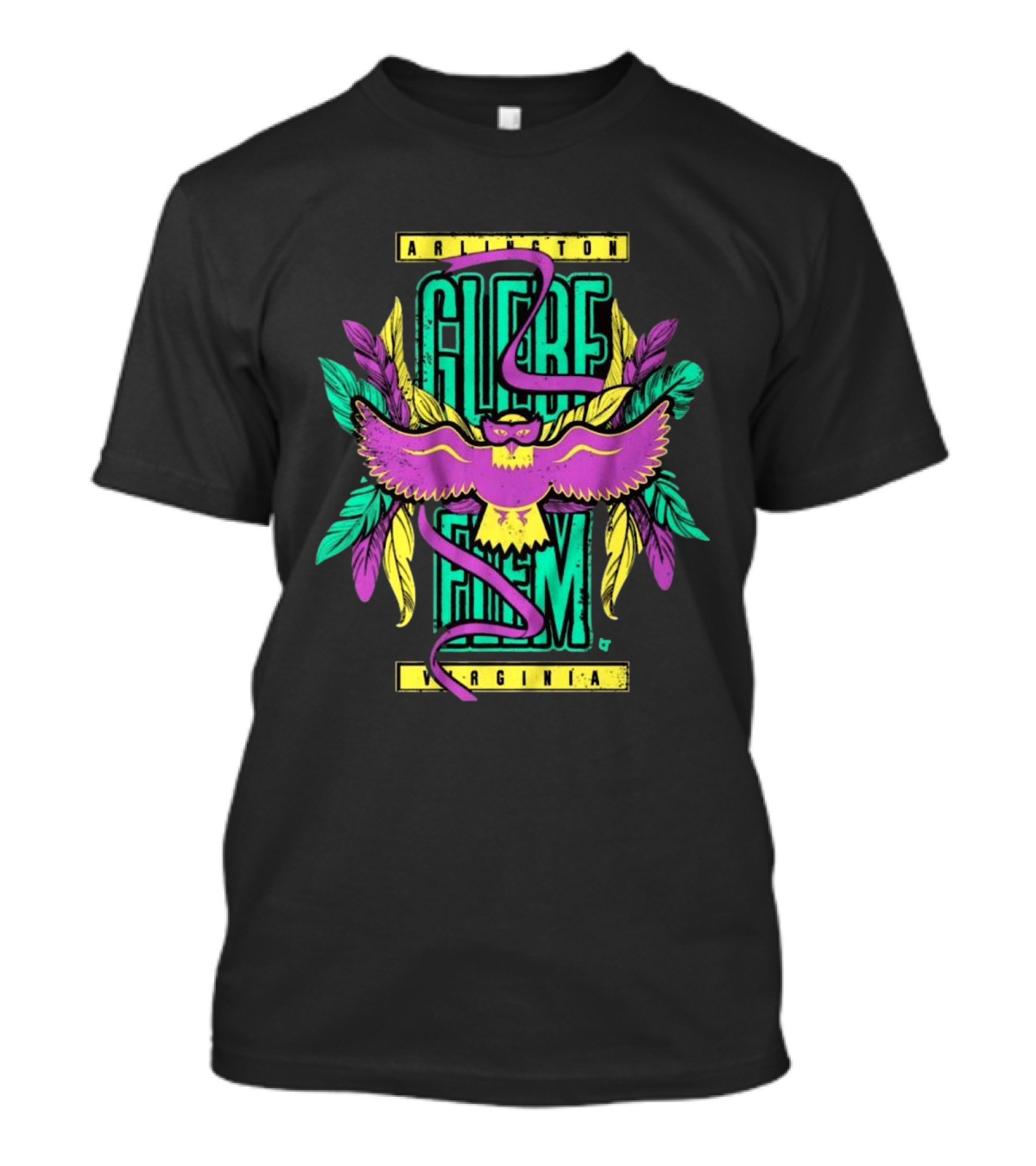 Glebe Elementary Mardi Gras Arlington Virginia T-Shirt