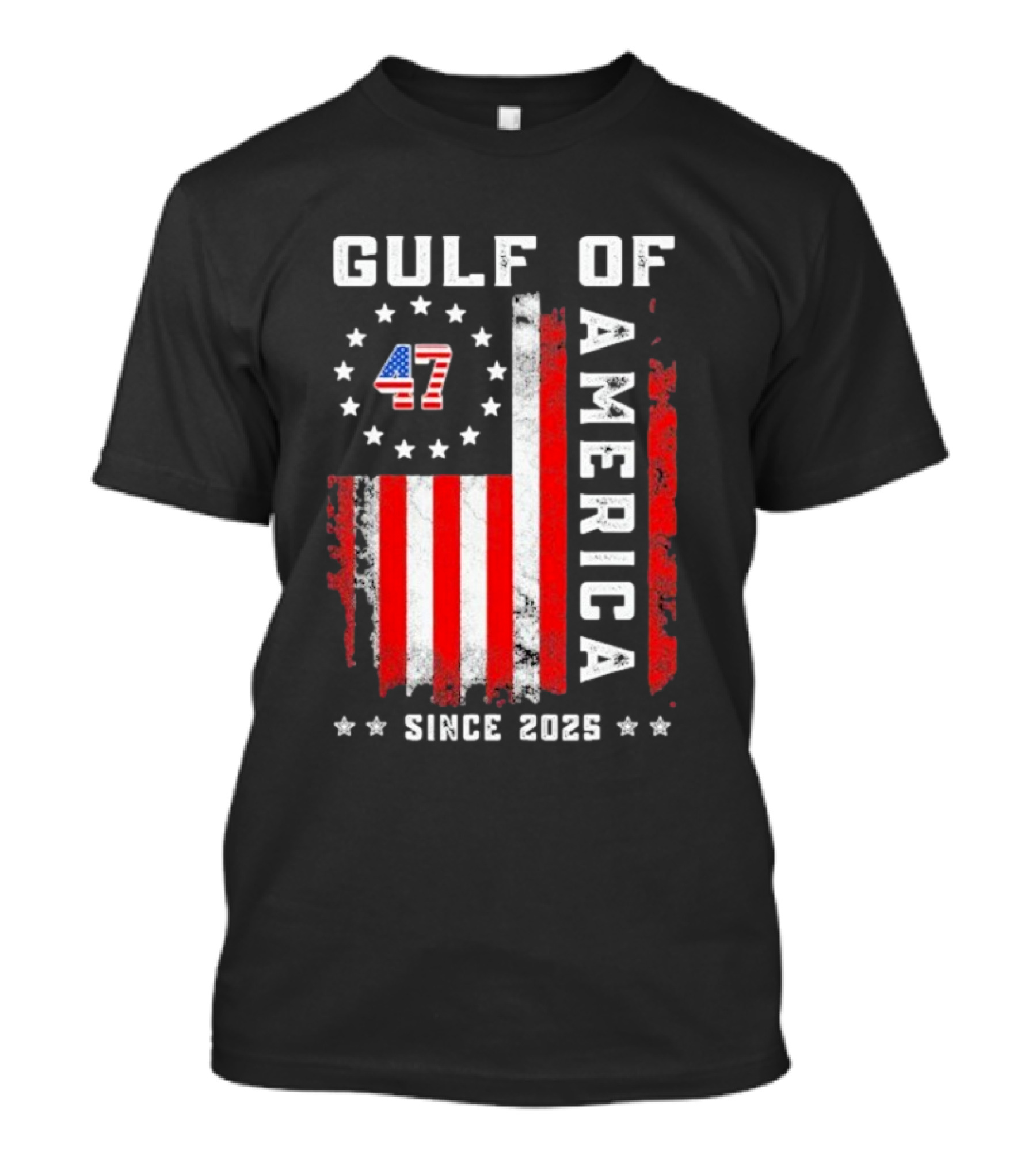 Gulf Of USA America Vintage USA Flag Grunged 2025 T-Shirt