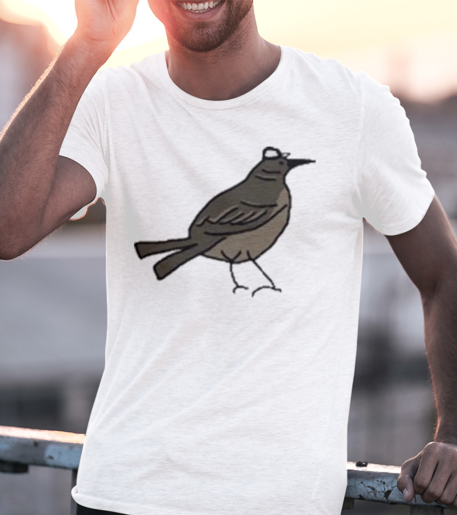 Dallas Stars Mr. Mockingbird Victory Green Bird T-Shirt