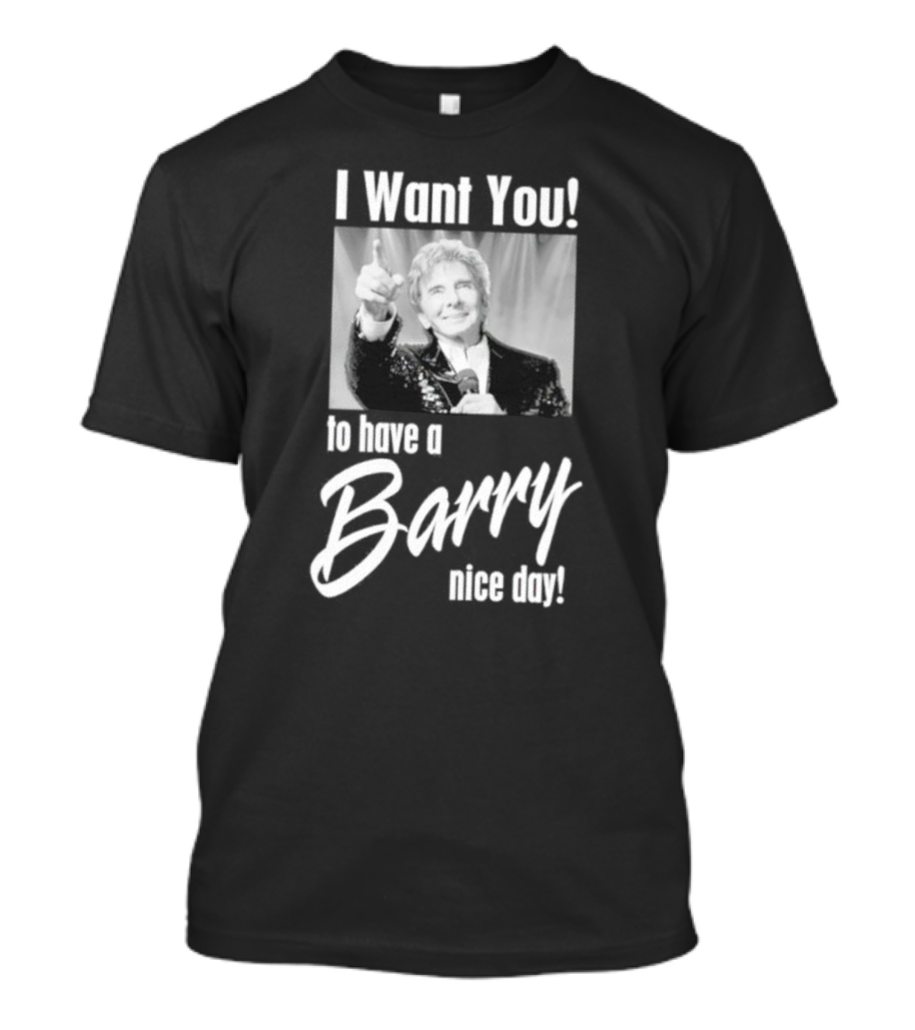 I Want You To Have A Barry Nice Day Pointing Gesture T-Shirt