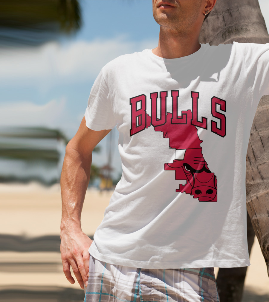 Bulls Chicago Map T-Shirt