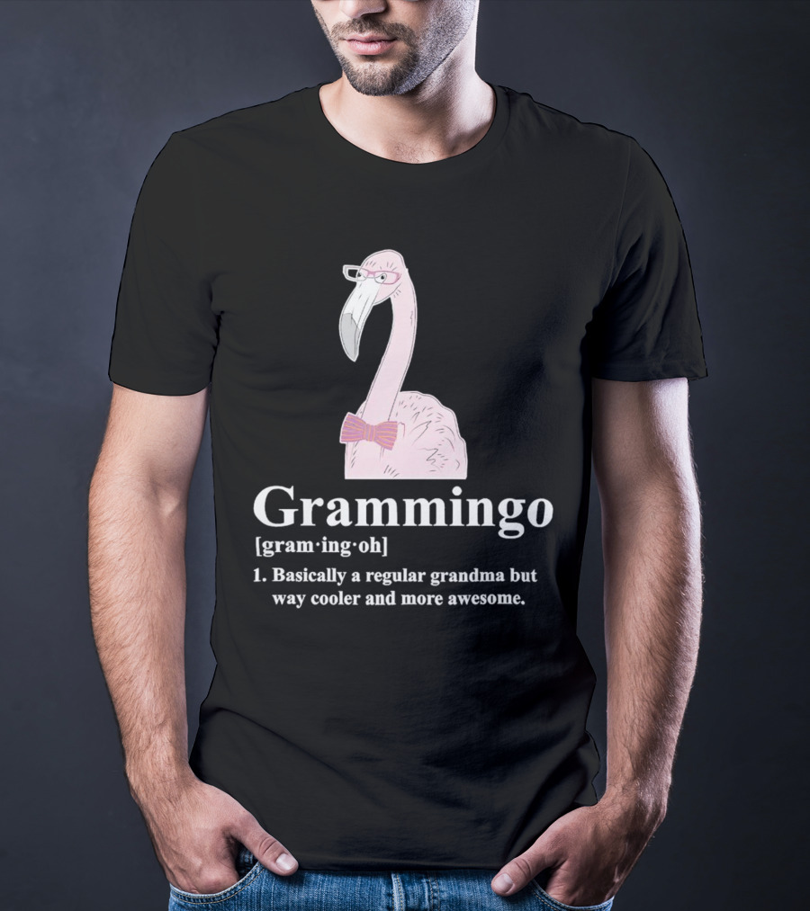 Grammingo Flamingo Grandma Way Cooler Awesome Definition T-Shirt
