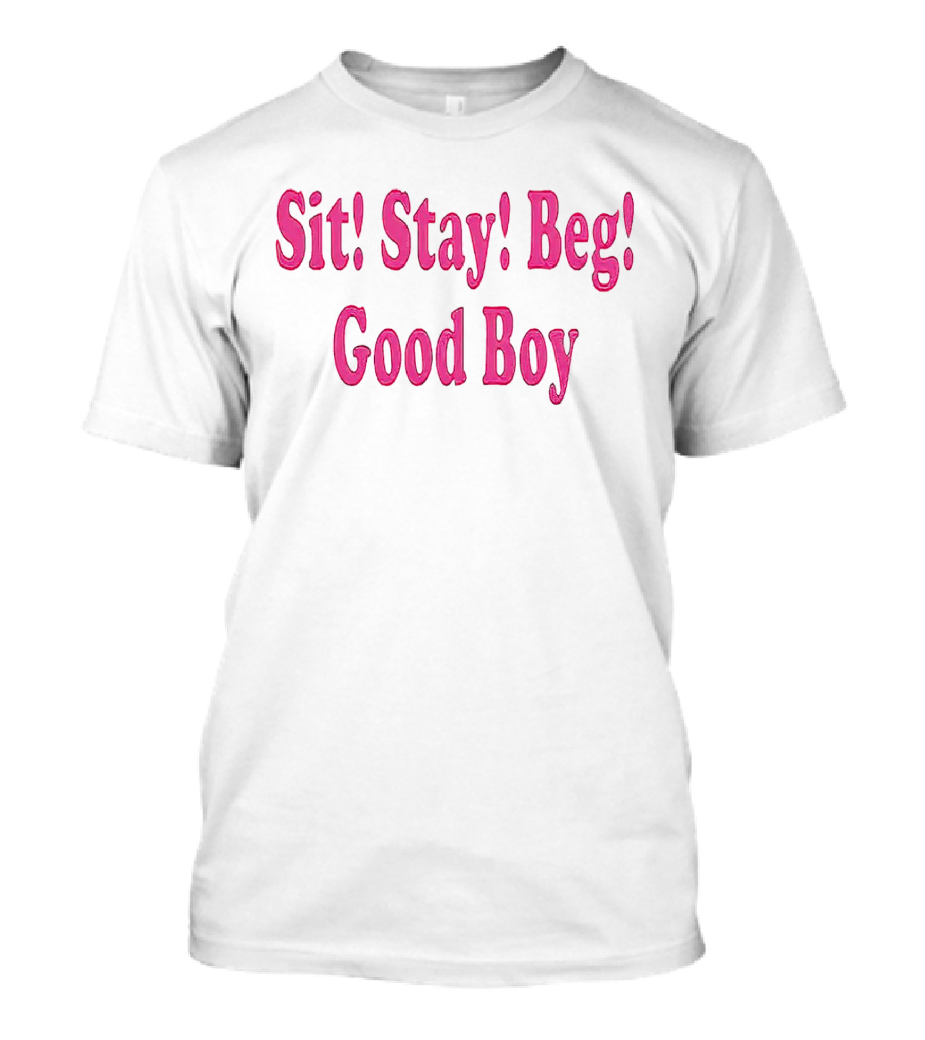Sit Stay Beg Good Boy T-Shirt