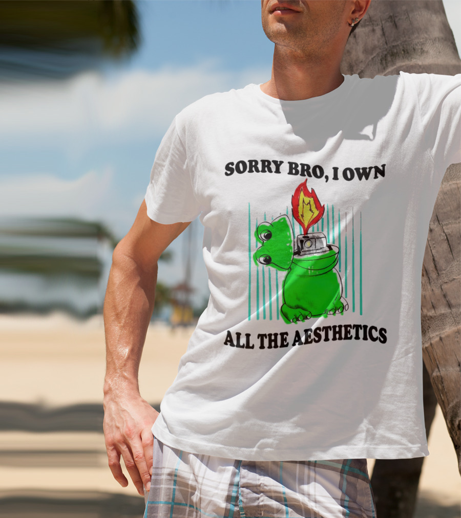 Sorry Bro I Own All The Aesthetics Melting Frog Lighter Flame T-Shirt
