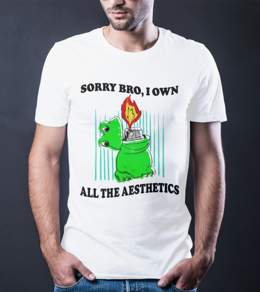 Sorry Bro I Own All The Aesthetics Melting Frog Lighter Flame T-Shirt